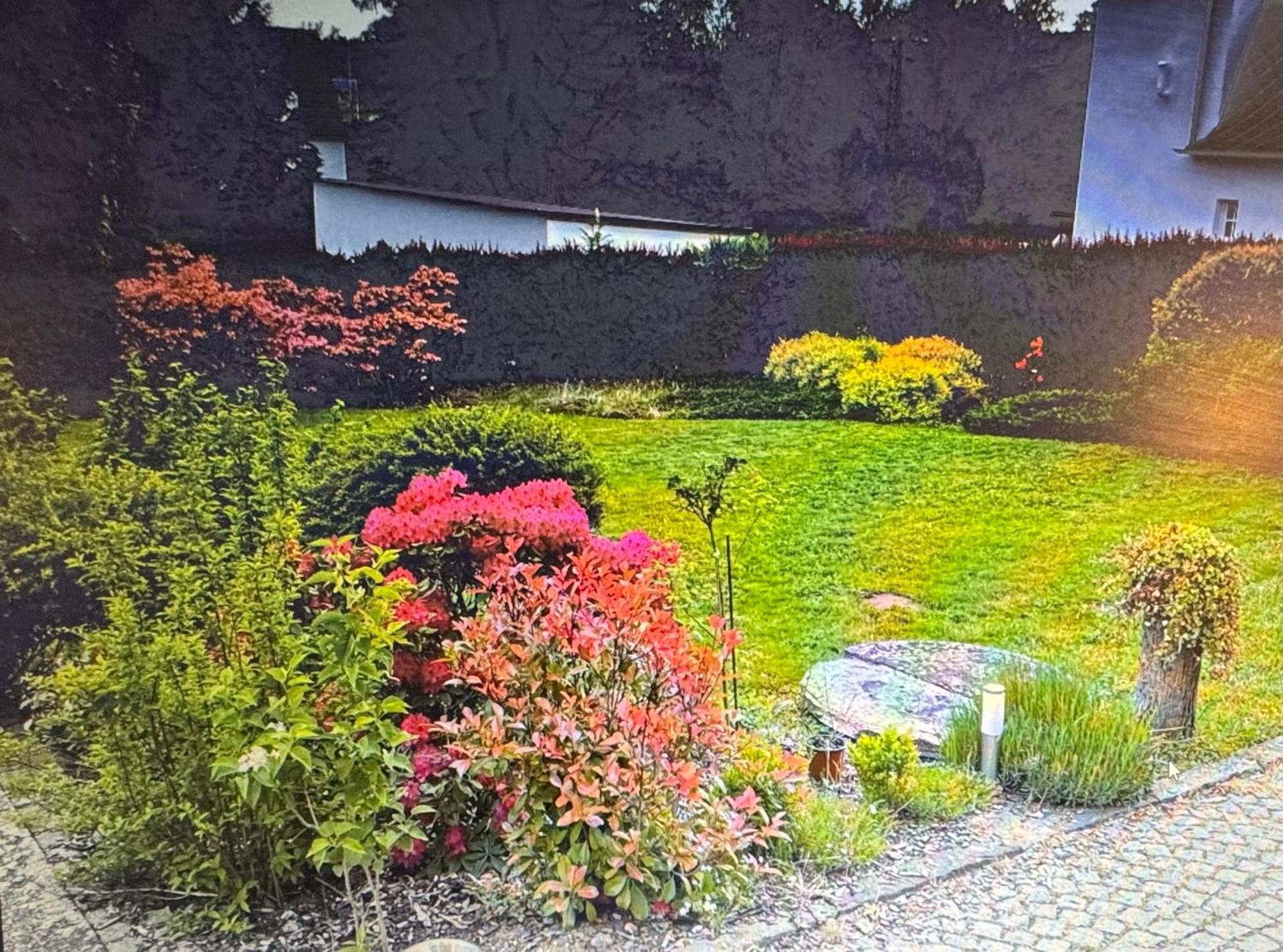 Penzion Tamara Vilemov  Dış mekan fotoğraf